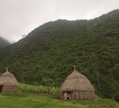 La compañía inicia un programa solidario que contribuye a la reforestación en Etiopía.