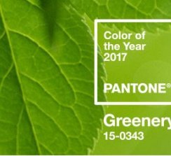 Pantone destaca la fuerza expresiva del Greenery en todos los aspectos de nuestra vida diaria.