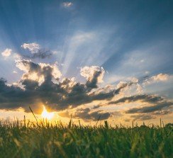 Desde 1970, el 22 de abril se celebra el Día de la Tierra.