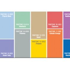 Pantone anuncia el top de los 10 colores para la próxima primavera 2014 