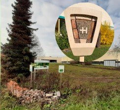 Una pradera de insectos en lugar de un jardín tradicional no es una simple acción de marketing es una declaración de eco-intenciones.