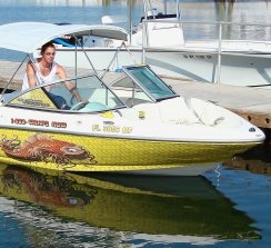 Nuevos vinilos para car wrapping, diseño de interiores o aplicaciones marinas.