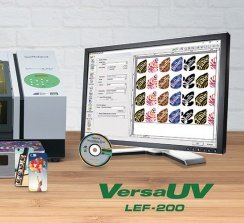 Con la LEF-200 se pueden imprimir directamente excepcionales colores en una amplia variedad de objetos.