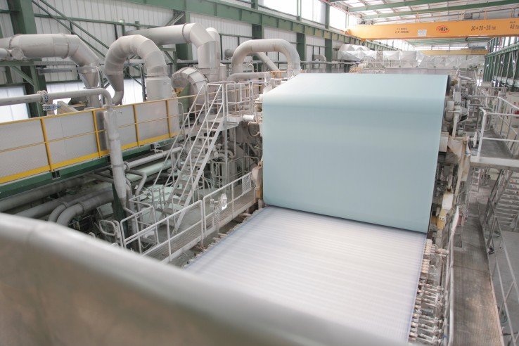 La bioindustria papelera española alcanza en 2019 una producción de 6.436.600 toneladas de papel en sus 69 fábricas.