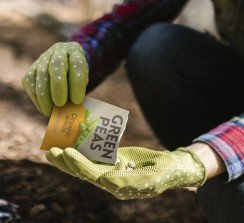 Nuevos productos funcionales para aplicaciones food service y embalajes flexibles.