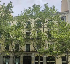 El edificio de la calle Serrano 92 de Madrid ha acogido este año una nueva edición de la muestra.