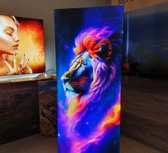 Nueva familia de cajas de luz para eventos y retail con imágenes de vivos colores.