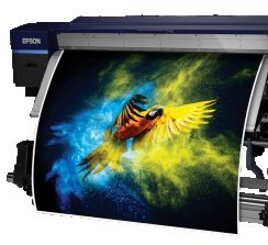 Epson SureColor S80600: Impresión de calidad superior y vivos colores.